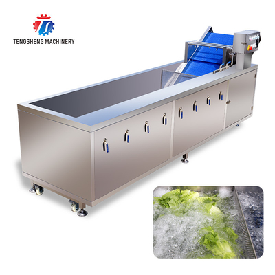 3KW Bubble Circulating Surfing Fruit And Vegetable Washing Machine Ozone Sanitization Bubble