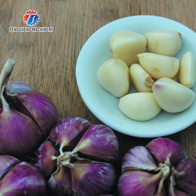 90KG 220V Stainless steel garlic shallot peeling machine peeling machine small garlic peeling machine