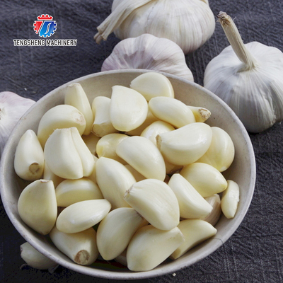 90KG 220V Stainless steel garlic shallot peeling machine peeling machine small garlic peeling machine