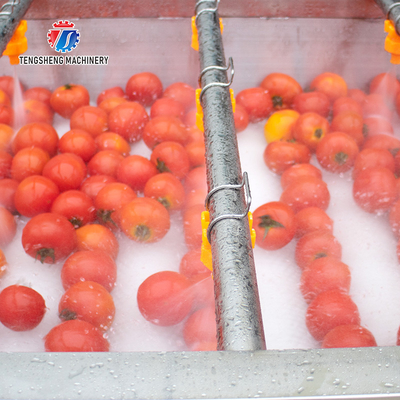 2.5KW Vegetable Parallel Roller Cleaning Machine High Pressure Spray Fruit Washing Machine