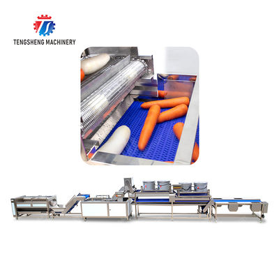 Enhance Your Production with Our State-of-the-Art Fruit And Vegetable Processing Line fruit and vegetable processing machinery
