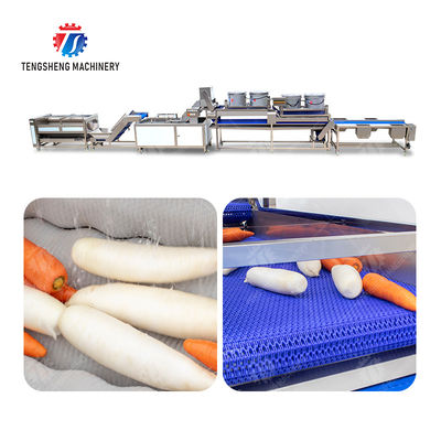 Enhance Your Production with Our State-of-the-Art Fruit And Vegetable Processing Line fruit and vegetable processing machinery