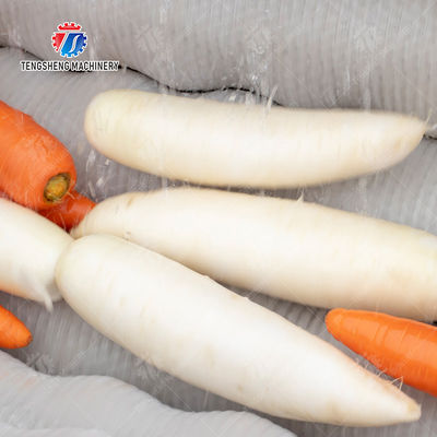 Enhance Your Production with Our State-of-the-Art Fruit And Vegetable Processing Line fruit and vegetable processing machinery