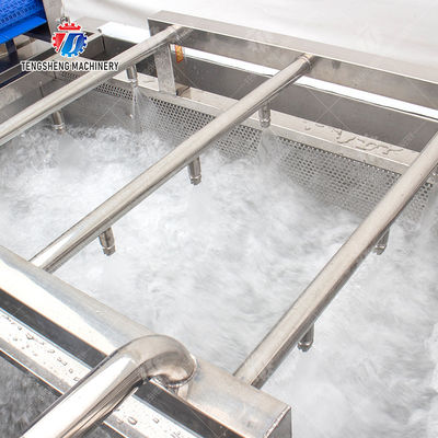 Enhance Your Production with Our State-of-the-Art Fruit And Vegetable Processing Line fruit and vegetable processing machinery