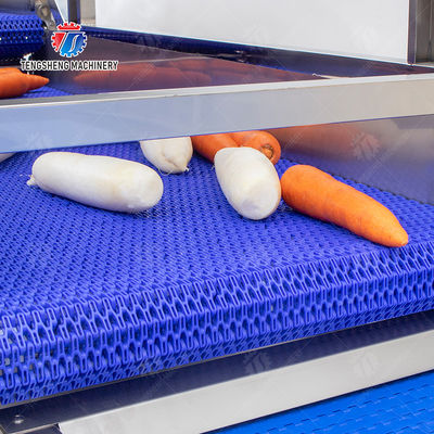 Enhance Your Production with Our State-of-the-Art Fruit And Vegetable Processing Line fruit and vegetable processing machinery