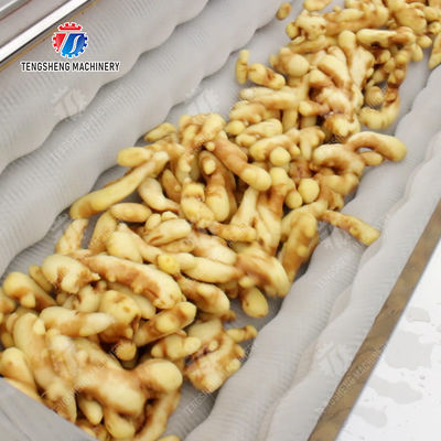 Brush bubble cleaning, drying, selection and cutting production line Revolutionize Your Food Production with Our State-of-the-Art Fruit And Vegetable Processing Line