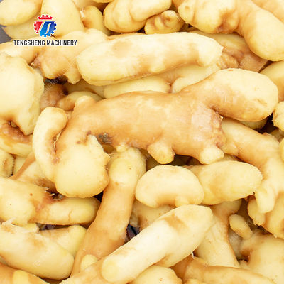 Brush bubble cleaning, drying, selection and cutting production line Revolutionize Your Food Production with Our State-of-the-Art Fruit And Vegetable Processing Line