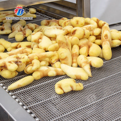 Brush bubble cleaning, drying, selection and cutting production line Revolutionize Your Food Production with Our State-of-the-Art Fruit And Vegetable Processing Line