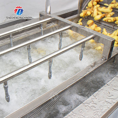 Brush bubble cleaning, drying, selection and cutting production line Revolutionize Your Food Production with Our State-of-the-Art Fruit And Vegetable Processing Line