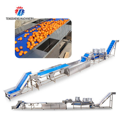 vegetable drying equipment	Fruit and vegetable selection  washing and drying production line Fruit Vegetable FOOD processing production Machine fruit juice processing machines