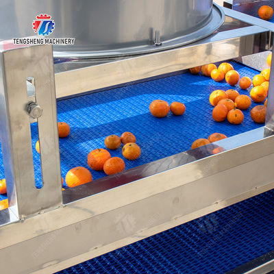 vegetable drying equipment	Fruit and vegetable selection  washing and drying production line Fruit Vegetable FOOD processing production Machine fruit juice processing machines