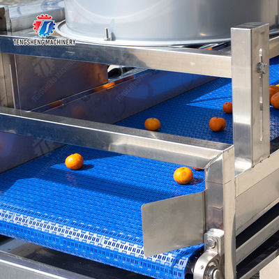 vegetable drying equipment	Fruit and vegetable selection  washing and drying production line Fruit Vegetable FOOD processing production Machine fruit juice processing machines