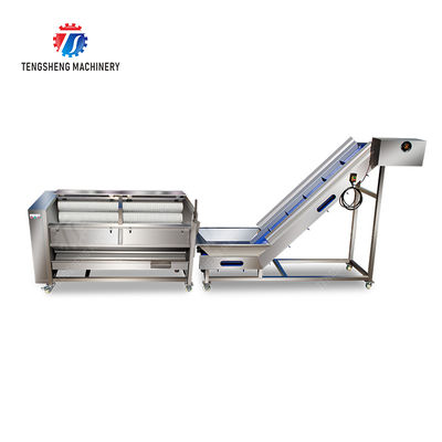 Brush washing and hoisting production line Ginger Potato Carrot Taro Sweet potato Yam processing production Machine