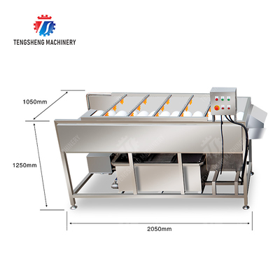 Potatoes and round tuber crops Carrots and longitudinal root vegetables Onions Ginger Carrot Taro Sweet potato Yam Potato Saiko persimmon Parallel Brush Machine Wash Washer Washing Cleaning