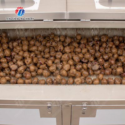 Ginger Potato Carrot Taro Sweet potato Yam Saiko persimmon papaya horseshoe Sealed Cover Type Peeling Machine Wash Washer Washing Cleaning