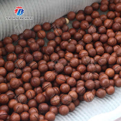 Ginger Potato Carrot Taro Sweet potato Yam Saiko persimmon papaya horseshoe Sealed Cover Type Peeling Machine Wash Washer Washing Cleaning