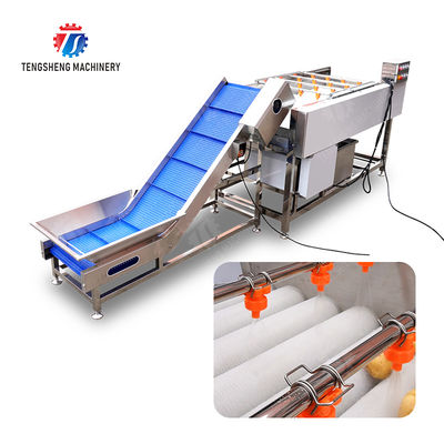 Orange Potato  Onions Ginger Potato Carrot Taro Sweet potato Yam Saiko persimmon papaya horseshoe Simple melon and fruit lifting and brush roller cleaning production line
