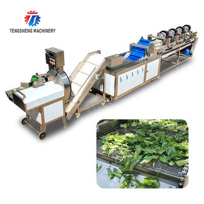 Orange Potato  Onions Ginger Potato Carrot Taro Sweet potato Yam Saiko persimmon papaya horseshoe 2025 Fruit and vegetable cutting, cleaning and air-drying production line