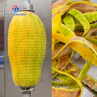 Vertical single knife peeling machine Vegetable papaya chieh-qua pumpkin wax gourd Ginger Potato Carrot Taro Sweet potato Yam peeler