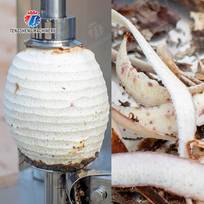 papaya chieh-qua pumpkin wax gourd pineapple Vertical single knife peeling machine watermelon Hami Melon Peeling polishing