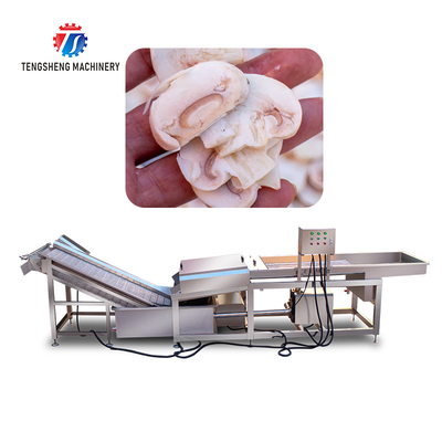 Mushroom slicer Wash Washer Washing Shiitake mushrooms Cleaning Dryer Cutting processing production Machine