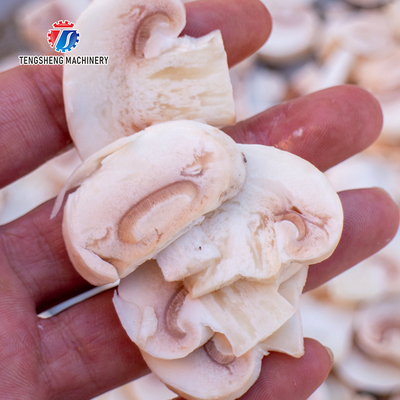 Mushroom slicer Wash Washer Washing Shiitake mushrooms Cleaning Dryer Cutting processing production Machine