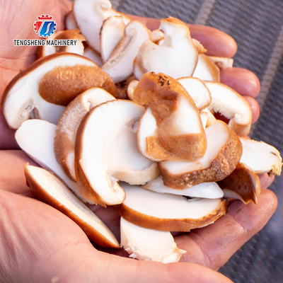 Mushroom slicer Wash Washer Washing Shiitake mushrooms Cleaning Dryer Cutting processing production Machine