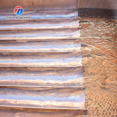 Mushroom slicer Wash Washer Washing Shiitake mushrooms Cleaning Dryer Cutting processing production Machine