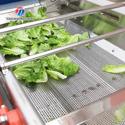 Vibration Air Dryer Vegetable Fruit Leaves Vegetables Saiko persimmon Ginger chili onion garlic Greens Lettuce Cabbage Shiitake mushrooms Mushrooms Bamboo shoots fungus lemon Washing Dryer Washing