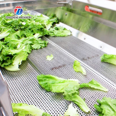 Vibration Air Dryer Vegetable Fruit Leaves Vegetables Saiko persimmon Ginger chili onion garlic Greens Lettuce Cabbage Shiitake mushrooms Mushrooms Bamboo shoots fungus lemon Washing Dryer Washing