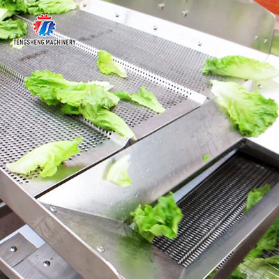 Vibration Air Dryer Vegetable Fruit Leaves Vegetables Saiko persimmon Ginger chili onion garlic Greens Lettuce Cabbage Shiitake mushrooms Mushrooms Bamboo shoots fungus lemon Washing Dryer Washing