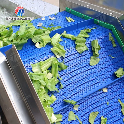 Washing Hoisting machine Fruit Orange Vegetable Apple pineapple Ginger Potato Carrot Sweet potato Yam cucumber chili onion okra Lettuce Cao Xin Baby Cabbage Chinese Cabbage processing production