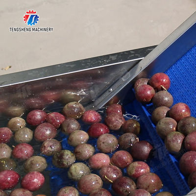 Fruit Orange Potatoes round tuber crops Carrots longitudinal root Onions Leafy vegetables Cabbage varieties Apple chieh-qua Ginger Potato Carrot radish lemon kiwi fruit Passion Pre foaming elevator