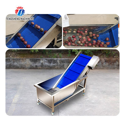 Fruit Orange Potatoes round tuber crops Carrots longitudinal root Onions Leafy vegetables Cabbage varieties Apple chieh-qua Ginger Potato Carrot radish lemon kiwi fruit Passion Pre foaming elevator