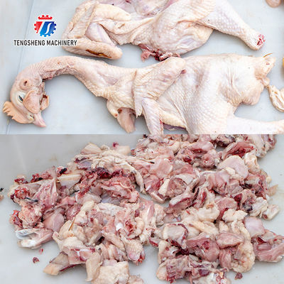 380V 2.2KW  Fish and chicken bone-in dicing machine stainless steel cutting machine poultry cutting machine