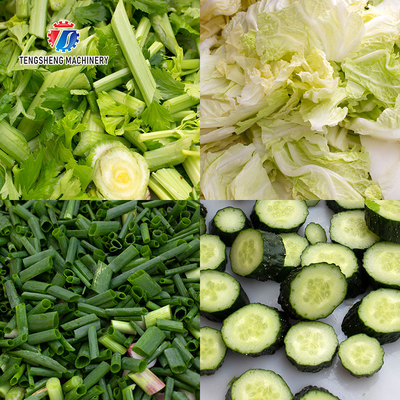 Multifunction Cucumber Shredded Radish Vegetable Processing Machine bamboo shoots