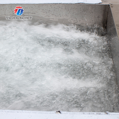 3KW Bubble Circulating Surfing Fruit And Vegetable Washing Machine Ozone Sanitization Bubble