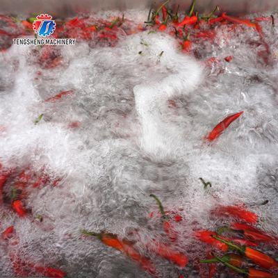 3KW Bubble Circulating Surfing Fruit And Vegetable Washing Machine Ozone Sanitization Bubble
