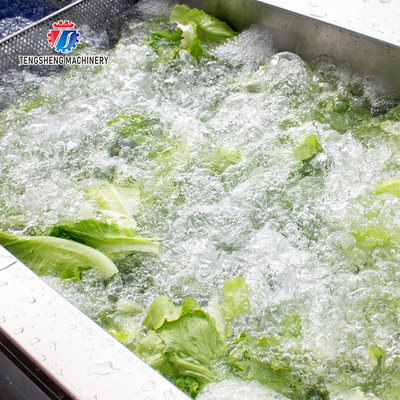 3KW Bubble Circulating Surfing Fruit And Vegetable Washing Machine Ozone Sanitization Bubble