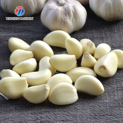 90KG 220V Stainless steel garlic shallot peeling machine peeling machine small garlic peeling machine