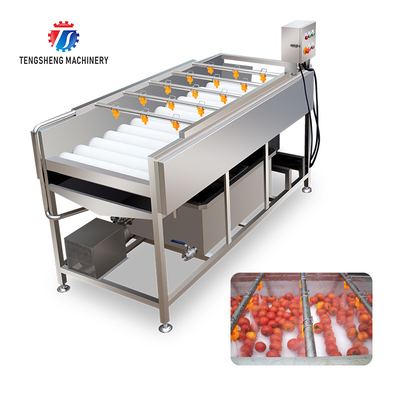 2.5KW Vegetable Parallel Roller Cleaning Machine High Pressure Spray Fruit Washing Machine