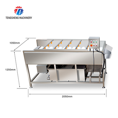 2.5KW Vegetable Parallel Roller Cleaning Machine High Pressure Spray Fruit Washing Machine