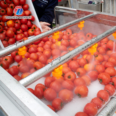 2.5KW Vegetable Parallel Roller Cleaning Machine High Pressure Spray Fruit Washing Machine