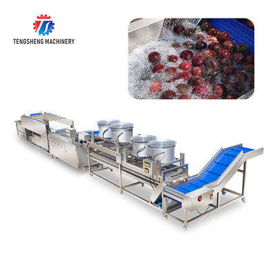 Revolutionize Your Production Process with Our Fruit And Vegetable Processing Line