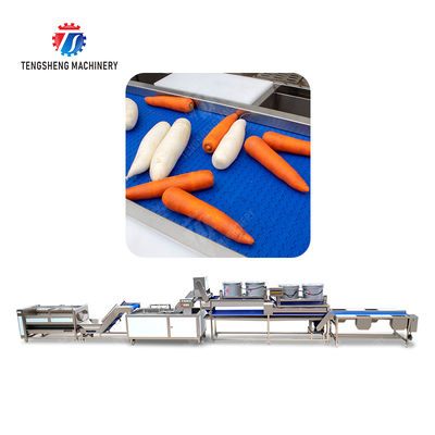 Enhance Your Production with Our State-of-the-Art Fruit And Vegetable Processing Line fruit and vegetable processing machinery