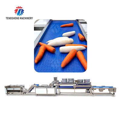 Enhance Your Production with Our State-of-the-Art Fruit And Vegetable Processing Line fruit and vegetable processing machinery