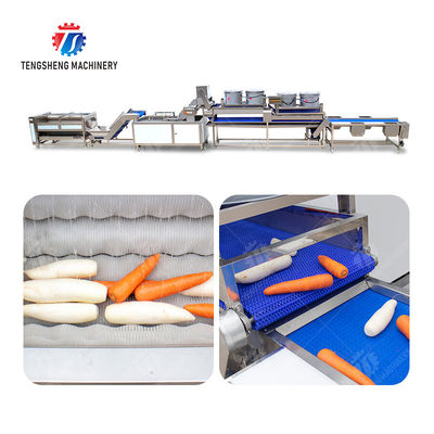 Enhance Your Production with Our State-of-the-Art Fruit And Vegetable Processing Line fruit and vegetable processing machinery