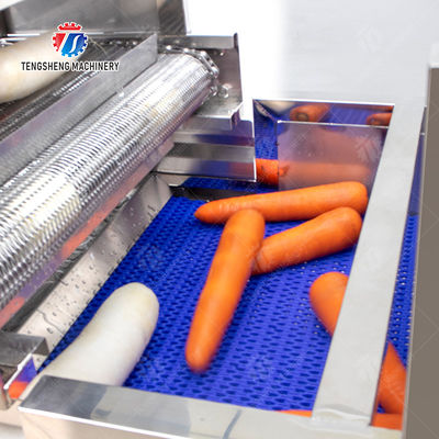 Enhance Your Production with Our State-of-the-Art Fruit And Vegetable Processing Line fruit and vegetable processing machinery