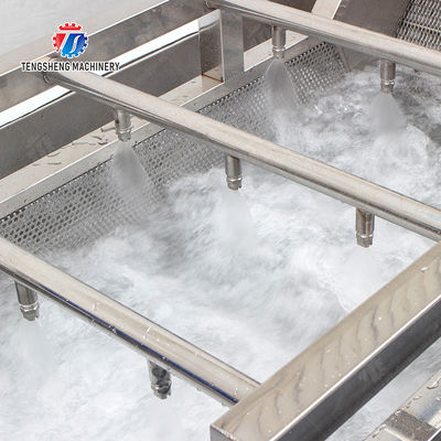 Enhance Your Production with Our State-of-the-Art Fruit And Vegetable Processing Line fruit and vegetable processing machinery