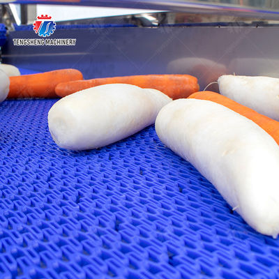 Enhance Your Production with Our State-of-the-Art Fruit And Vegetable Processing Line fruit and vegetable processing machinery